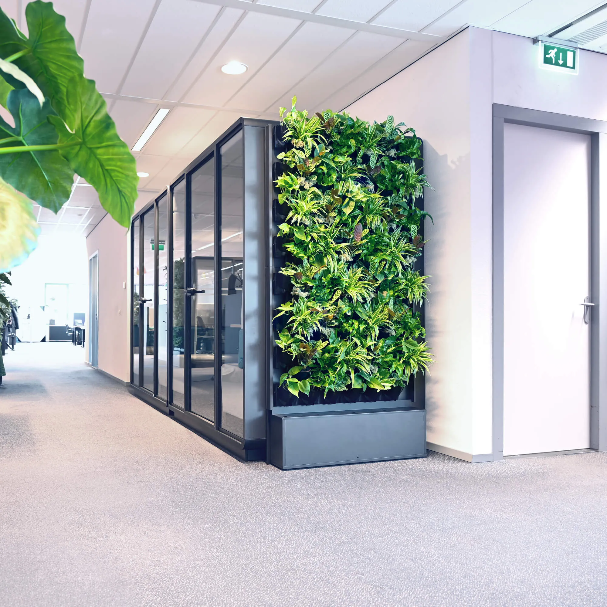 kantoor inrichting interieur beplanting mikomax kantoor inrichting interieur beplanting mikomax