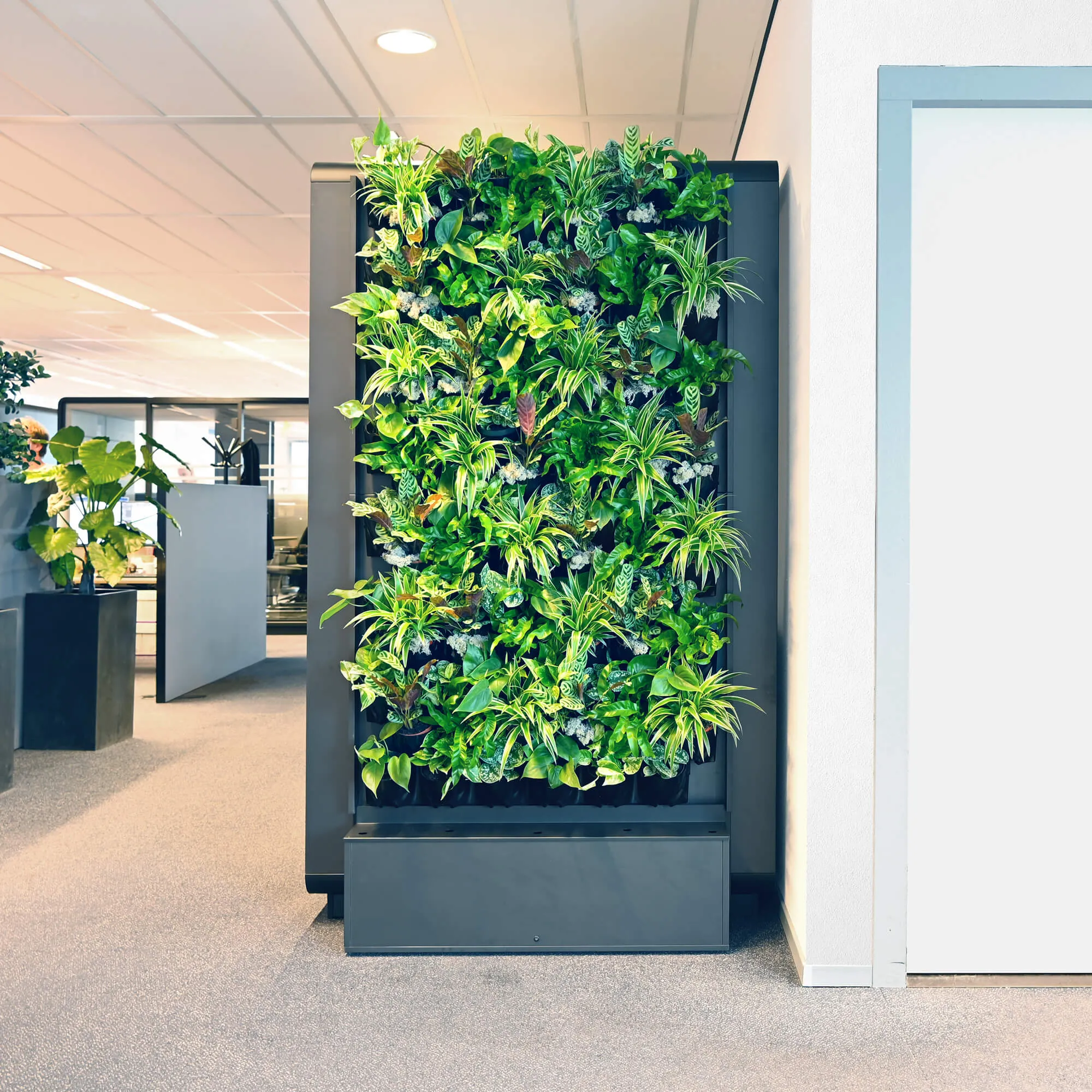 kantoor inrichting interieur beplanting mikomax