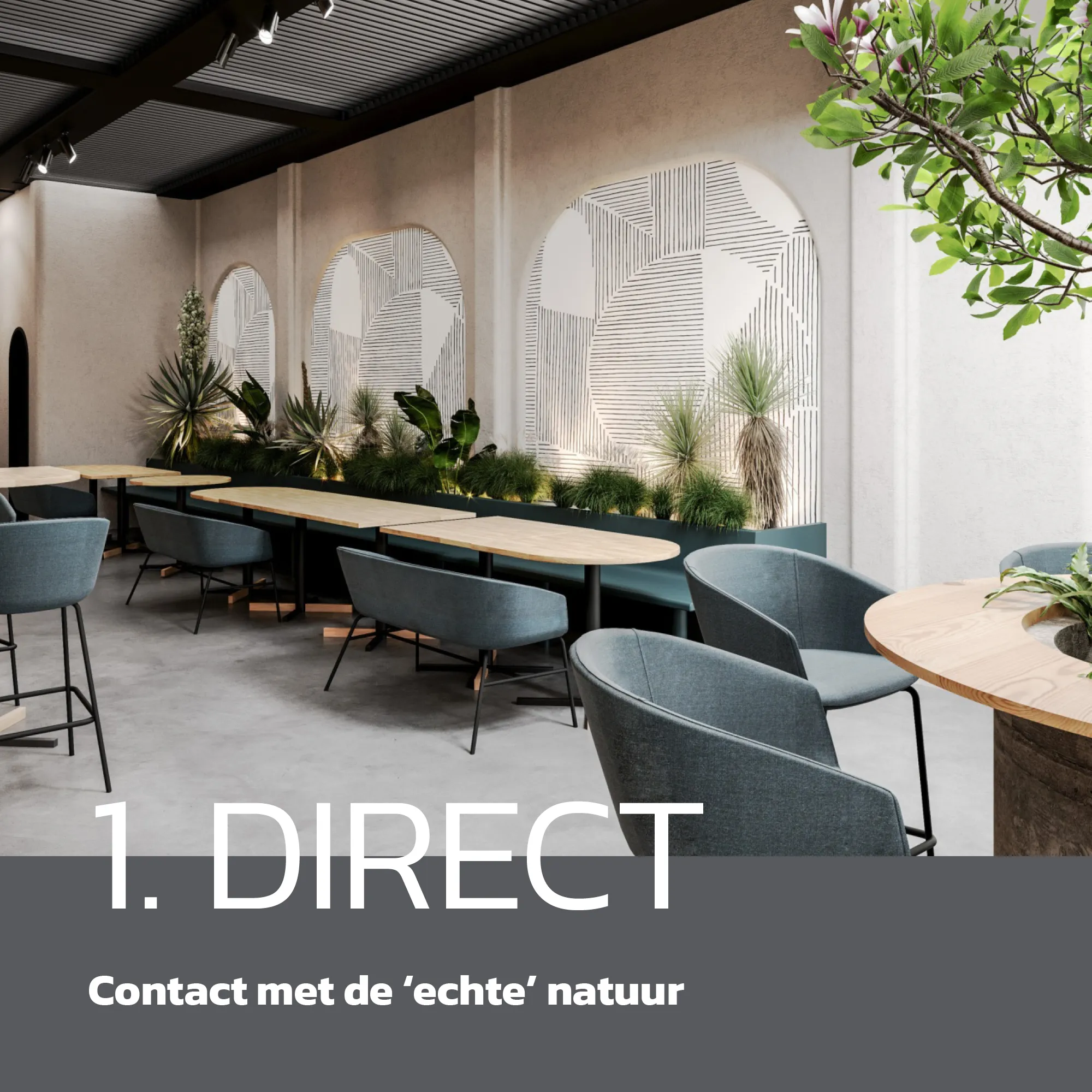 TOC-biophilic design_basis direct