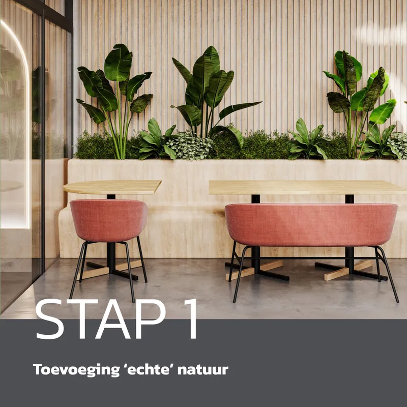 kantoorinrichting-biophilic design-5-stappen 1000x1000px2