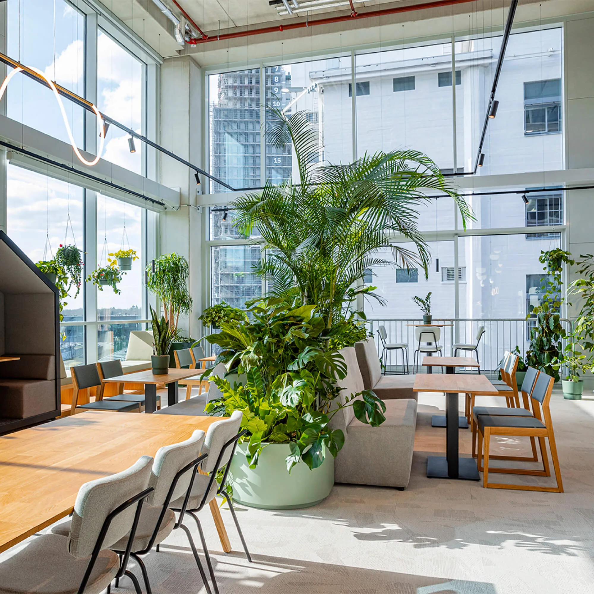 kantoorinrichting-biophilic design-bejot 1000x1000px13